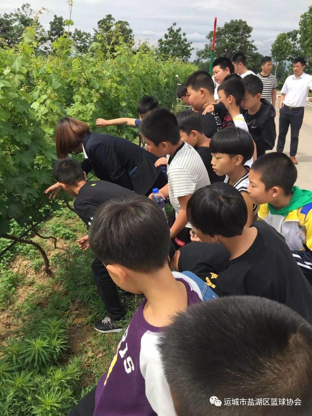 如何根据篮球比赛的不同阶段调整力量训练强度?_1