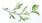 _2